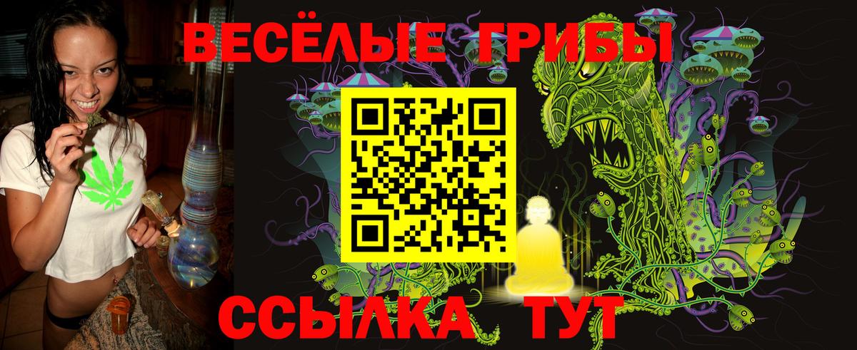Галлюциногенные грибы GOLDEN TEACHER Набережные Челны